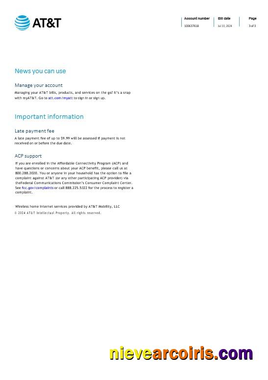 Saint Lucia internet business utility bill, 3 page